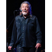 Robert Plant